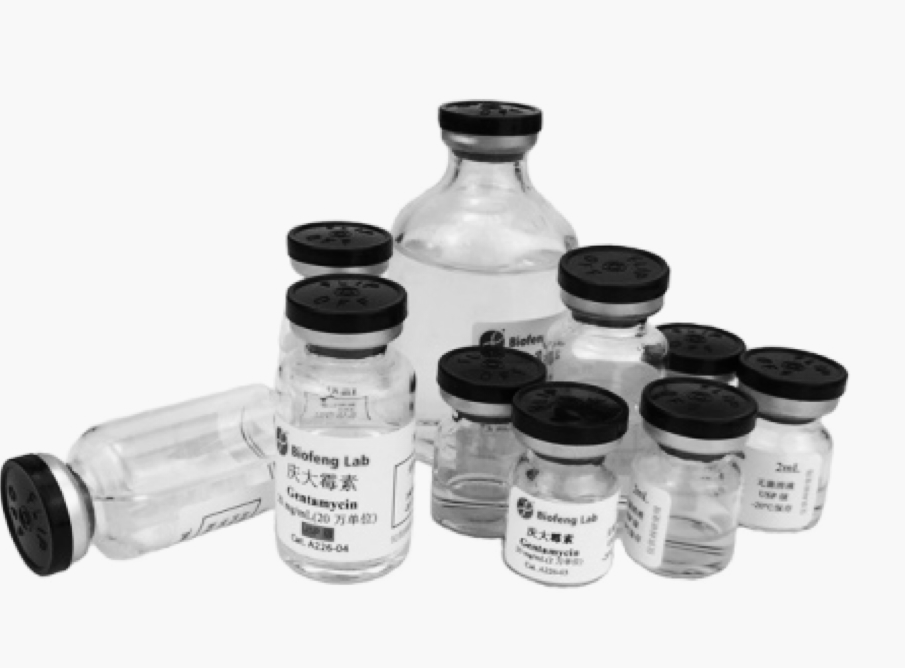 kb88凯时在线·(中国)集团